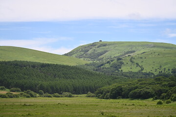 夏の八島湿原／長野県