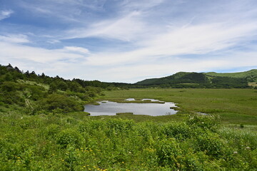 夏の八島湿原／長野県