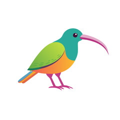 Obraz premium Colorful Kiwi Bird Isolated on a Transparent Background