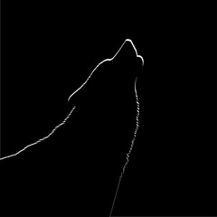 Minimalist line outline of a howling wolf against a black background. Ideal for tattoo designs, wildlife symbols, or moody minimalist art concepts