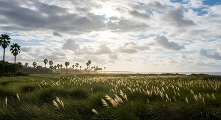 Beachside meadow glows under sunlight. Tropical getaway for web use, design, editorial.