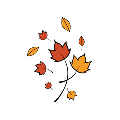 Autumn leaves falling isolated on white background