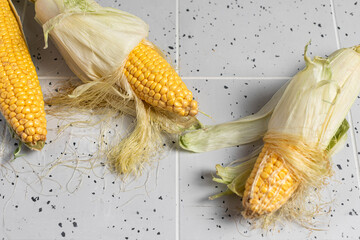 corn cobs on a light background, fresh corn