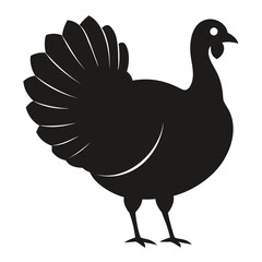 Fototapeta premium Detailed silhouette of a turkey in profile isolated on a clean white background for easy integration isolated on white background