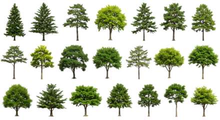 Collection of various green trees isolated on transparent background