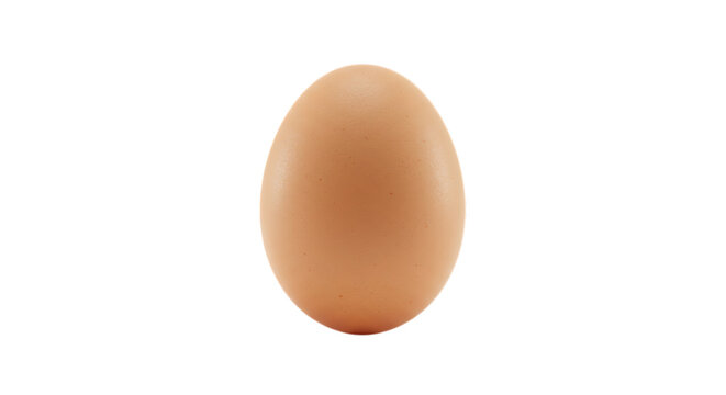 A single brown egg isolated on transparent background
