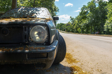 Front view of an old, broken car with one missing headlight and a flat tire, covered in dry blossoms, parked on an empty sunny road.
