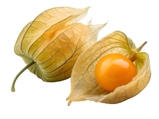 Happy young boy pointing forward with a smile