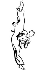 Vector illustration karate taekwondo side kick mawashi geri. yop chagui silhouette 