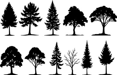 Fototapeta premium Black Silhouette Tree Vector Set – Nature Elements Collection