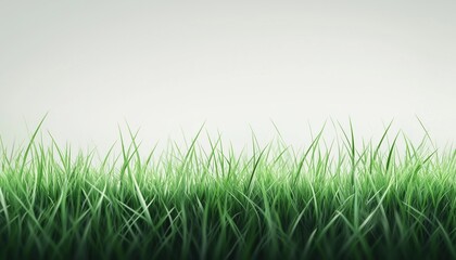 Obraz premium Luscious Green Grass Harvested From A Vibrant Field. The Verdant Meadow Yields The Purest Essence Of Nature In Every Blade.