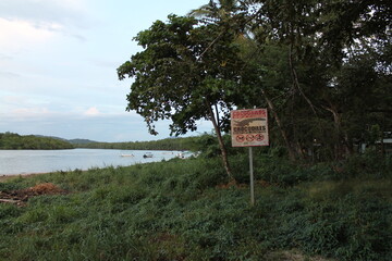 Crocodile Crossing on the River, Costa Rica
