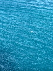 Obraz premium blue water background