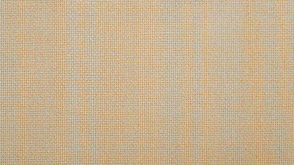 Fototapeta premium Neutral Textured Canvas