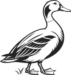 Black and White Duck Drawing – Clean and Simple Line Art Vector