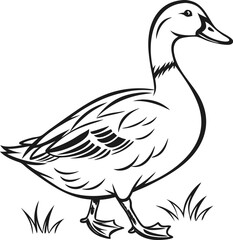 Black and White Duck Drawing – Clean and Simple Line Art Vector