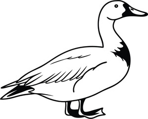 Black and White Duck Drawing – Clean and Simple Line Art Vector