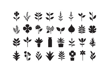 Collection of hand drawn botanical illustrations and plant silhouettes