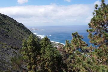 K&uuml;ste mit Kiefern auf Teneriffa bei Garachico