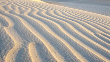 Obraz premium Golden hour sunlight illuminates rippling sand dunes creating a textured abstract natural landscape