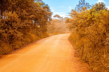 View of road with red soil in Forest with deep blue sky and some clouds.	

