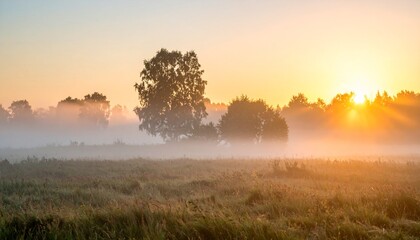 Morning mist at sunrise over a peaceful countryside field