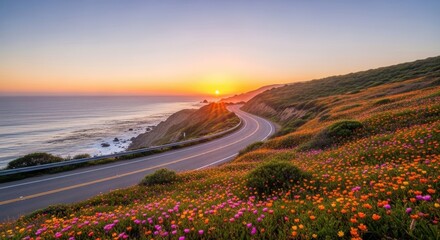 Winding coastal road with vibrant wildflowers at sunrise ocean sunset
