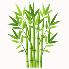 Naklejka premium bamboo vector illustration