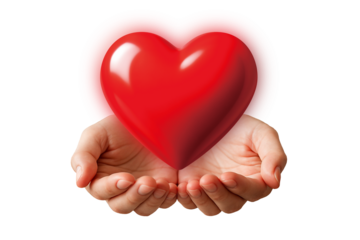 Material of the hand holding the heart.
The image of two hands evokes charity, relief, mental care, health care, etc.