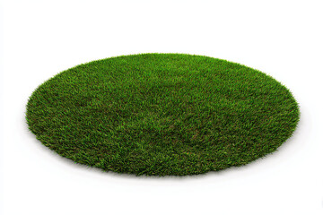 a round grass patch on a white surface