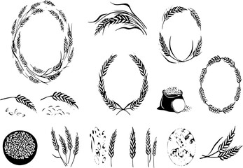Wheat barley ears, oat isolated frames and wreaths. Grains graphic, rice or malt icons. Gluten pictogram, cereal silhouettes tidy vector set, agriculture symbols