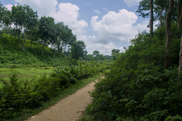 Scenic Nature Trail in Rural Landscape of Bangladesh, Lush Greenery, Cloudy Sky, and Peaceful Environment