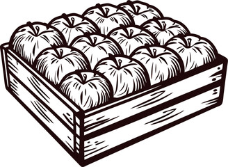 Hand drawn wooden crate filled with apples isolated on white background vintage engraved fruit illustration