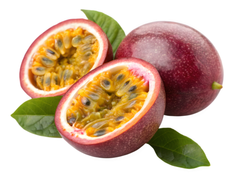 Confident female doctor wearing a white lab coat and stethoscope with arms crossed
