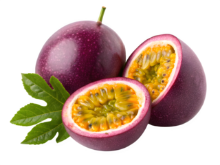 Confident female doctor with stethoscope and crossed arms