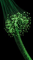 Green Fiber Optic Cables Glowing on Black, Technology and Communication