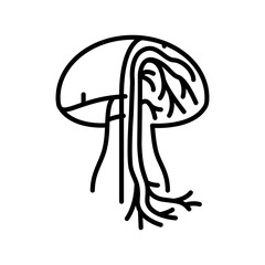 Hyphae mushroom black line icon for digital and print projects.