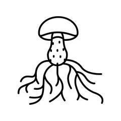 mycelium black line icon for digital and print projects.