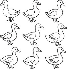Black and White Duck Drawing – Clean and Simple Line Art Vector
