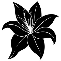 Black lily flower silhouette white