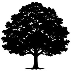 Majestic oak tree silhouette black vector white background