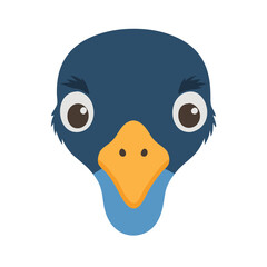 Close up of a blue bird face silhouette