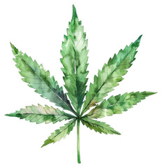PNG Green cannabis leaf herbal plant herbs.