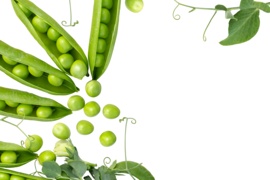 Fresh green peas in pods with leaves, isolation on a transparent background.