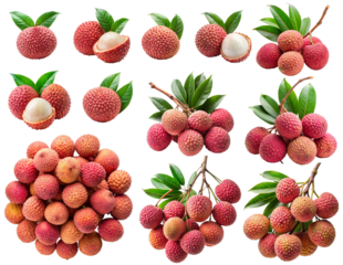 Lychee Fruit Collection on Transparent Background - Isolated Tropical Fruits with Leaves for Food Packaging, Menu Design and Digital Marketing