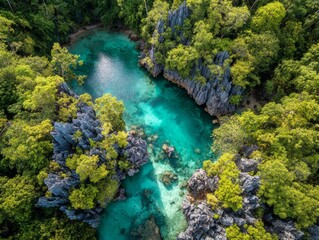 Untouched Tropical Lagoon Surrounded by Limestone Cliffs