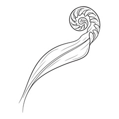 Black and white line art illustration of an unfurling fern frond, or fiddlehead, with a distinct spiral pattern, symbolizing growth and nature. © Sahabat