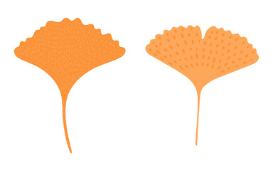 Ginkgo tree leaves in autumn, isolated on transparent background. Hand drawn flat vector illustration. Seasonal decorative design element, botanical clip art set, vegetation, foliage, nature, plant