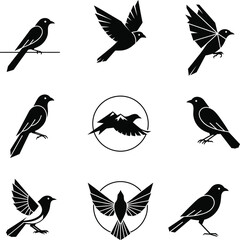 A set of black and white vector icons featuring various birds in different poses, including flying, perched, and standing, perfect for logo and design projects.