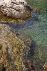 A close-up of the rocky Adriatic coastline with clear turquoise water